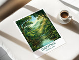 Daintree Rainforest Australia Travel Poster, Tropical Rainforest Wall Art, Queensland Nature Print, Forest Illustration, Australia Decor